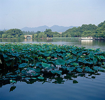 xổ số đà lạt