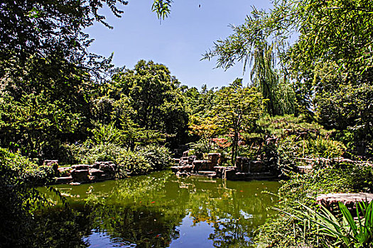soi cau xs gia lai