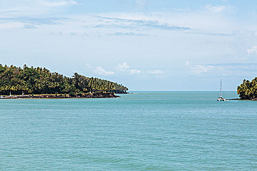 cau gio vang