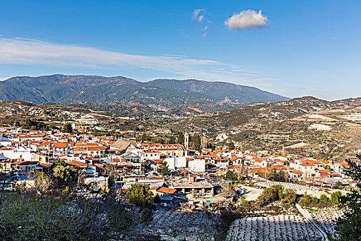 cau bach thu 888