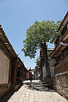 số kết quả