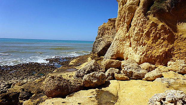 coi xổ số