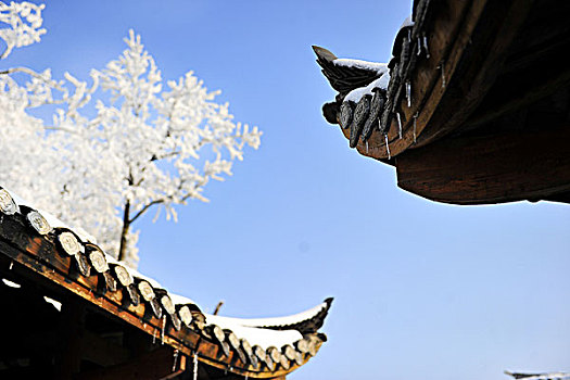 lo đep hom nay