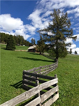 du doan ag