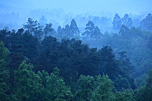 bach thu khung 3 ngay