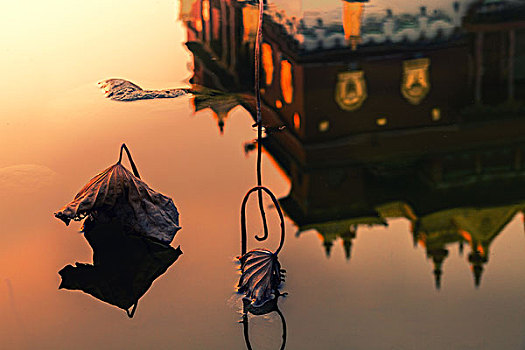 cách bắt lô trượt