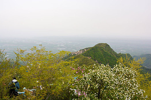 soi cau 336