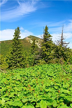 du doan lo de mb