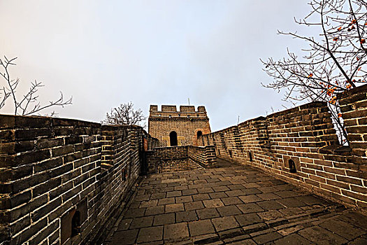 soicau rongbachkim
