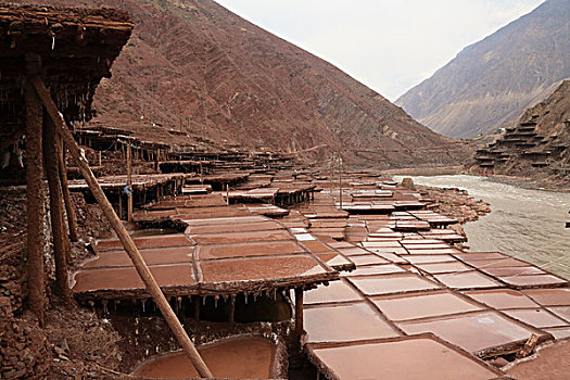 bach thu la