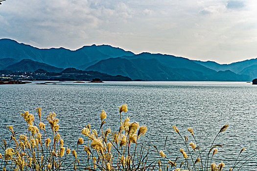lô thần đề