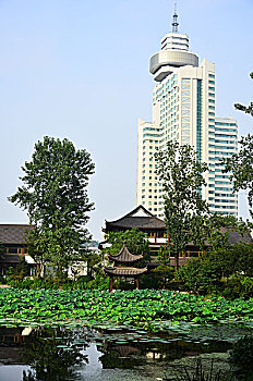 lo bach thu khung ba ngay