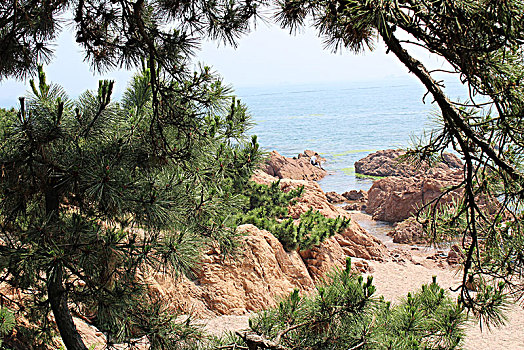 lô khung 2 ngày miễn phí