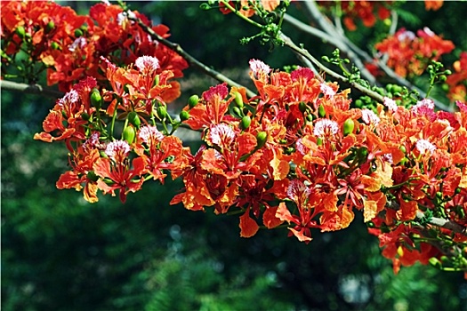 soi cầu đề chuẩn