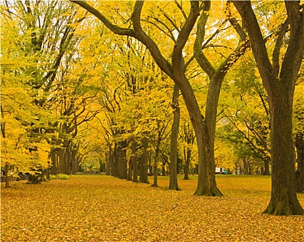du doan xổ số miền nam