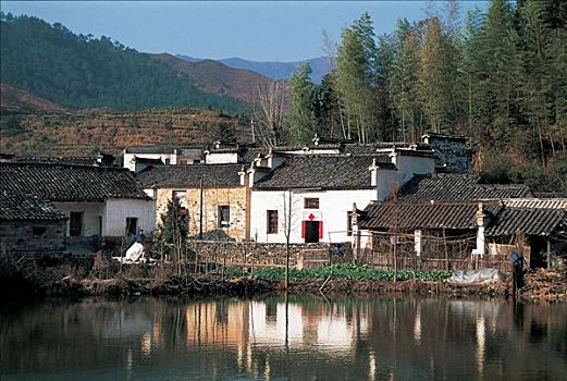 soi câu miễn phí