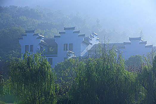 lô bạch thu hôm nay