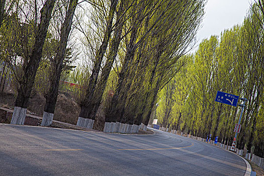 quay thử xổ số quảng nam
