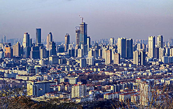 soi cau bt mb