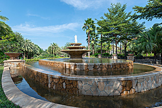 soi cau bach thu888
