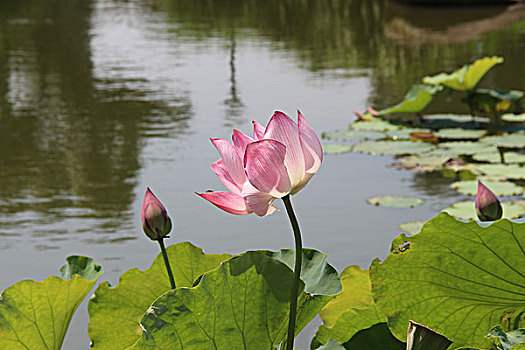 ưin2888