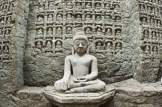 bạch thủ lô hôm nay