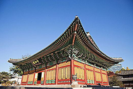 bạch thủ lô miền bắc