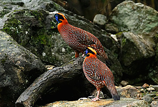 du doan xo so tien giang
