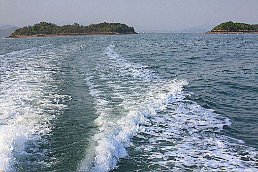đề online