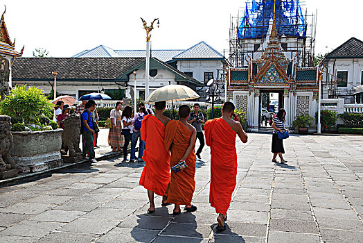 soi cau sieu chuan mb