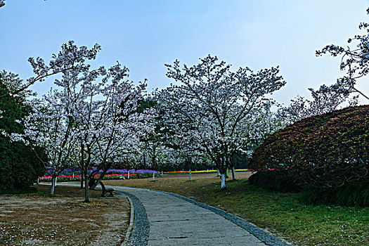 xổ số kiến thiết