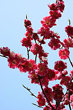 kết quả xổ số an giang