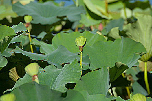 thống kê xổ số an giang
