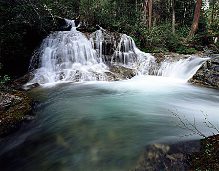 thong ke giai dac biet thang
