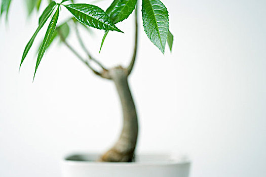 cầu lô miền bắc hôm nay