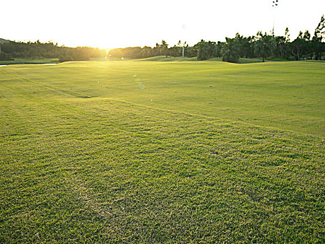 soi cầu me
