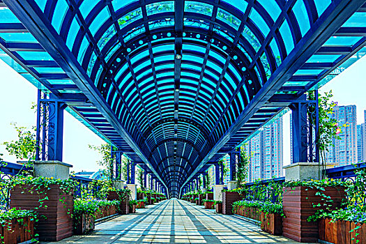 soi cau 39