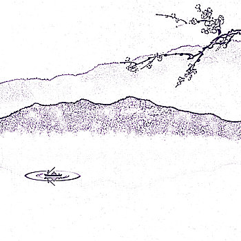 soi cau xo so 568