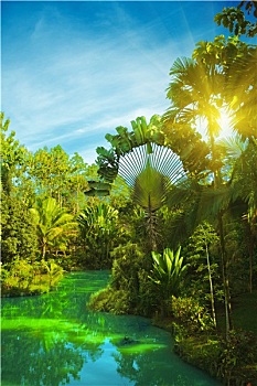 lo bạch thu