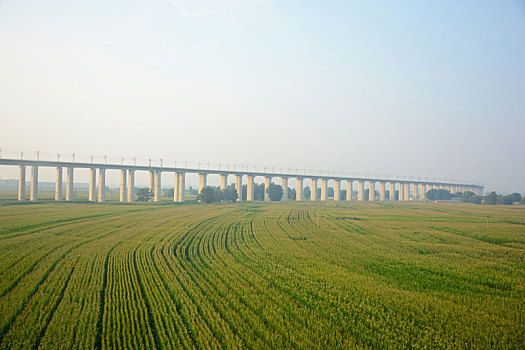 xổ số hà nội