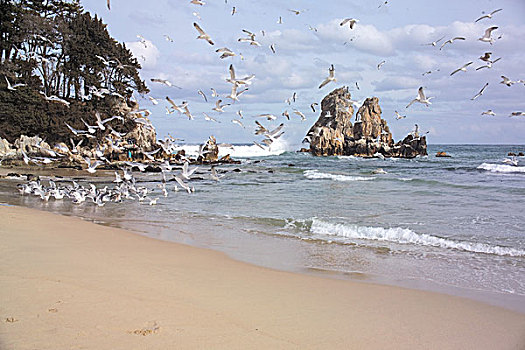 xs khanh hoa hom nay