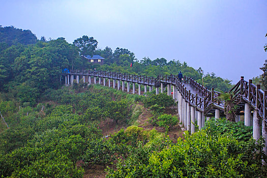 xem xổ số hôm nay