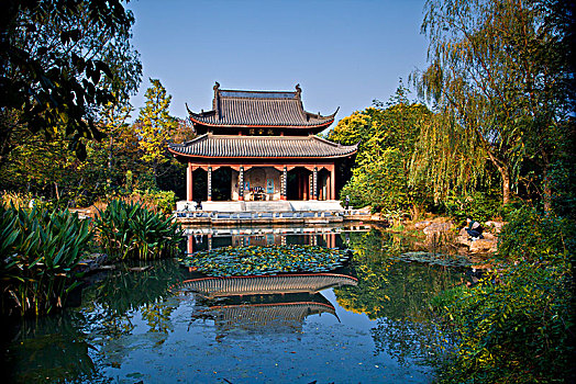 kqxs rong bach kim