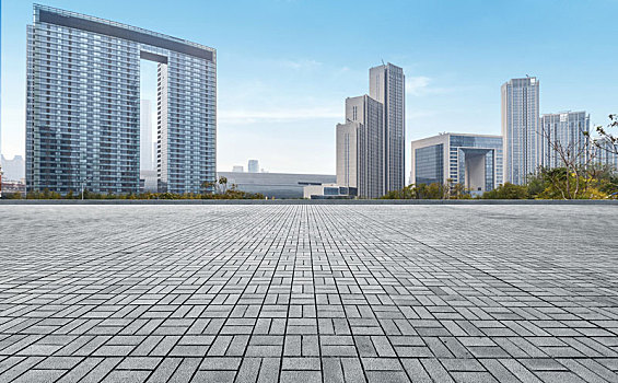 dự đoán bạch thủ miền bắc