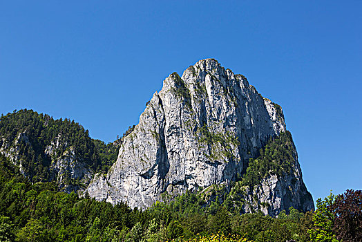 bạch thủ đề chuẩn