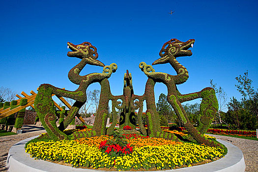 soi cau mien phi 6666