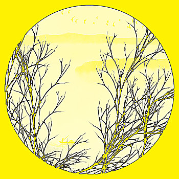 bạch thủ miền bắc