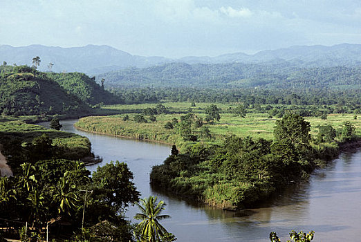 soi cau 39