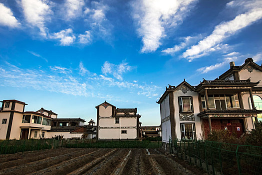 lô bạch thủ hôm nay