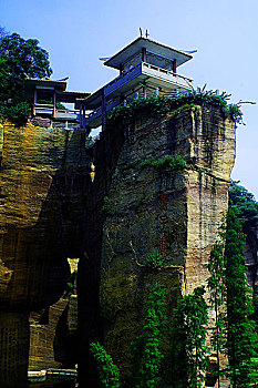 soi bach thu de
